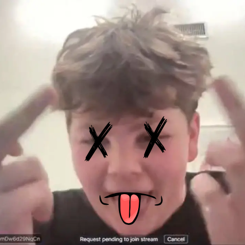 Middle Finger Kid