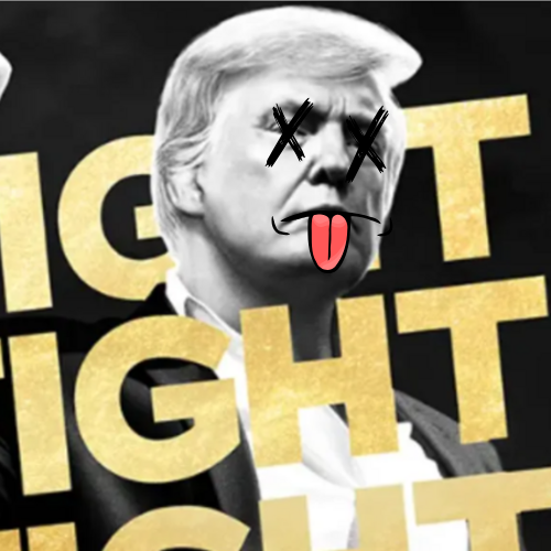 Trump Memecoin